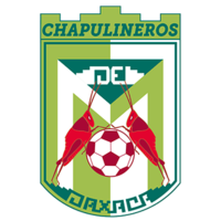 Chapulineros Oaxaca
