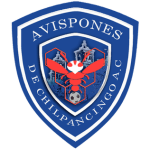 CD Avispones de Chilpancingo AC