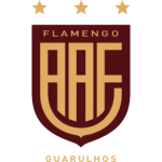 Flamengo U20 logo