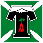 Deportes Temuco logo
