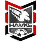Holland Park Hawks