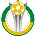 Piauiense, Serie B logo